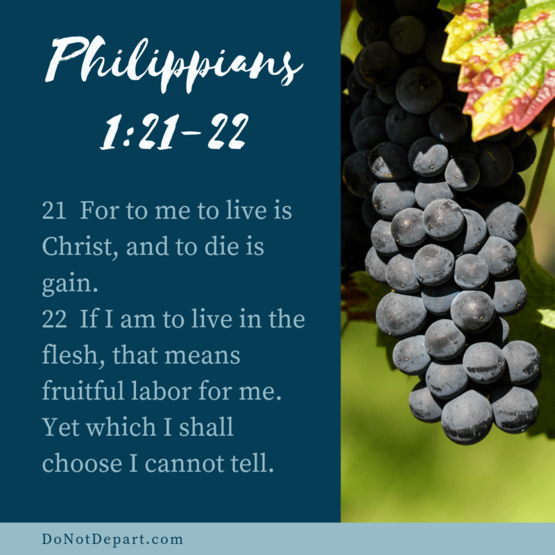 Whether You Live Or Die {Memorize Philippians 1:21-22}