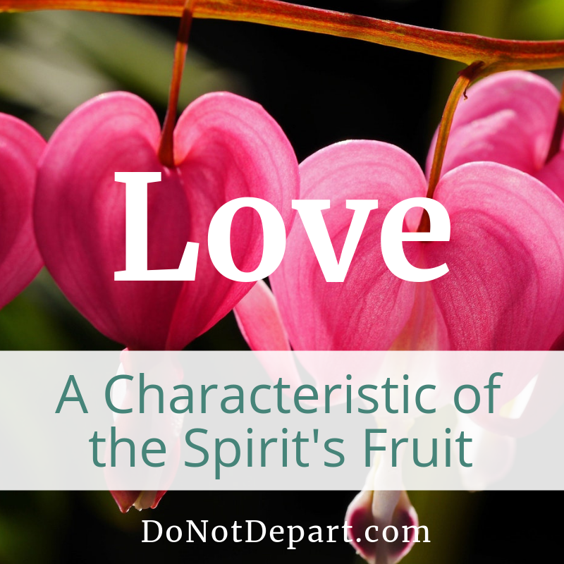 Love: A Characteristic of the Spirit's Fruit. Read more about the Fruit of the Spirit at DoNotDepart.com