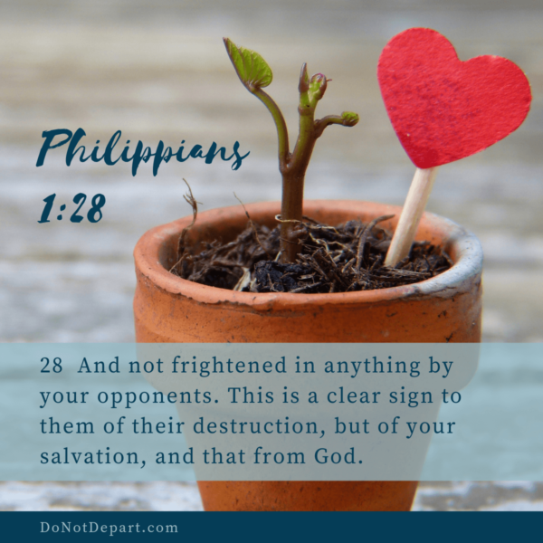 Philippians 1_28