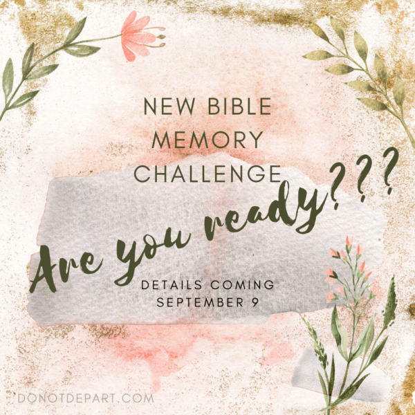 Bible memory challenge tease