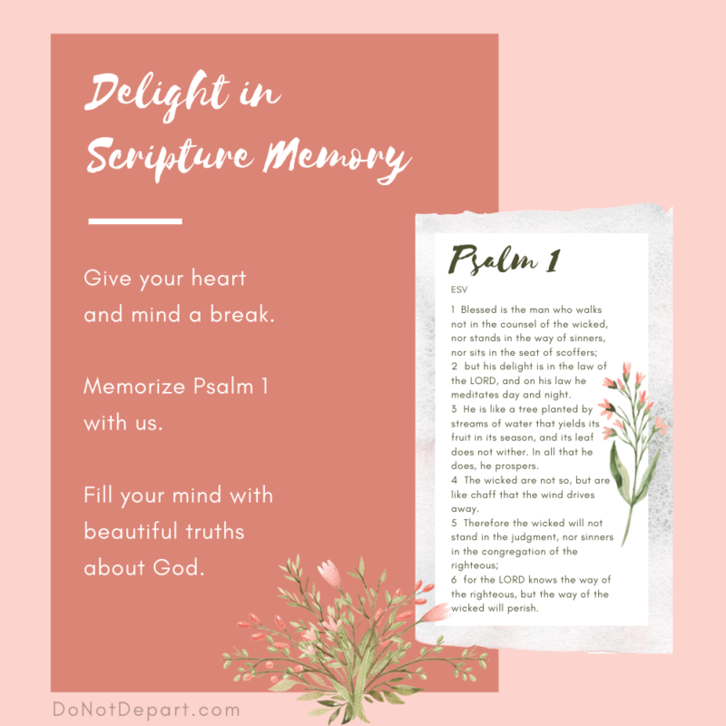 How to Delight in the Lord? Try Scripture Memory