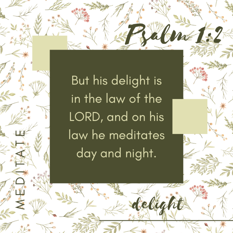 How Can You Delight in the Lord All Day and Night? {Psalm 1:2}