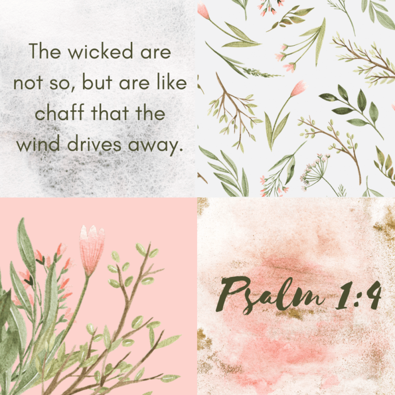 Restless or Rooted? {Psalm 1:4}