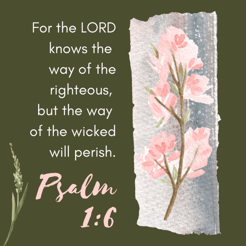 Do You Want God to Know You? {Psalm 1:6}