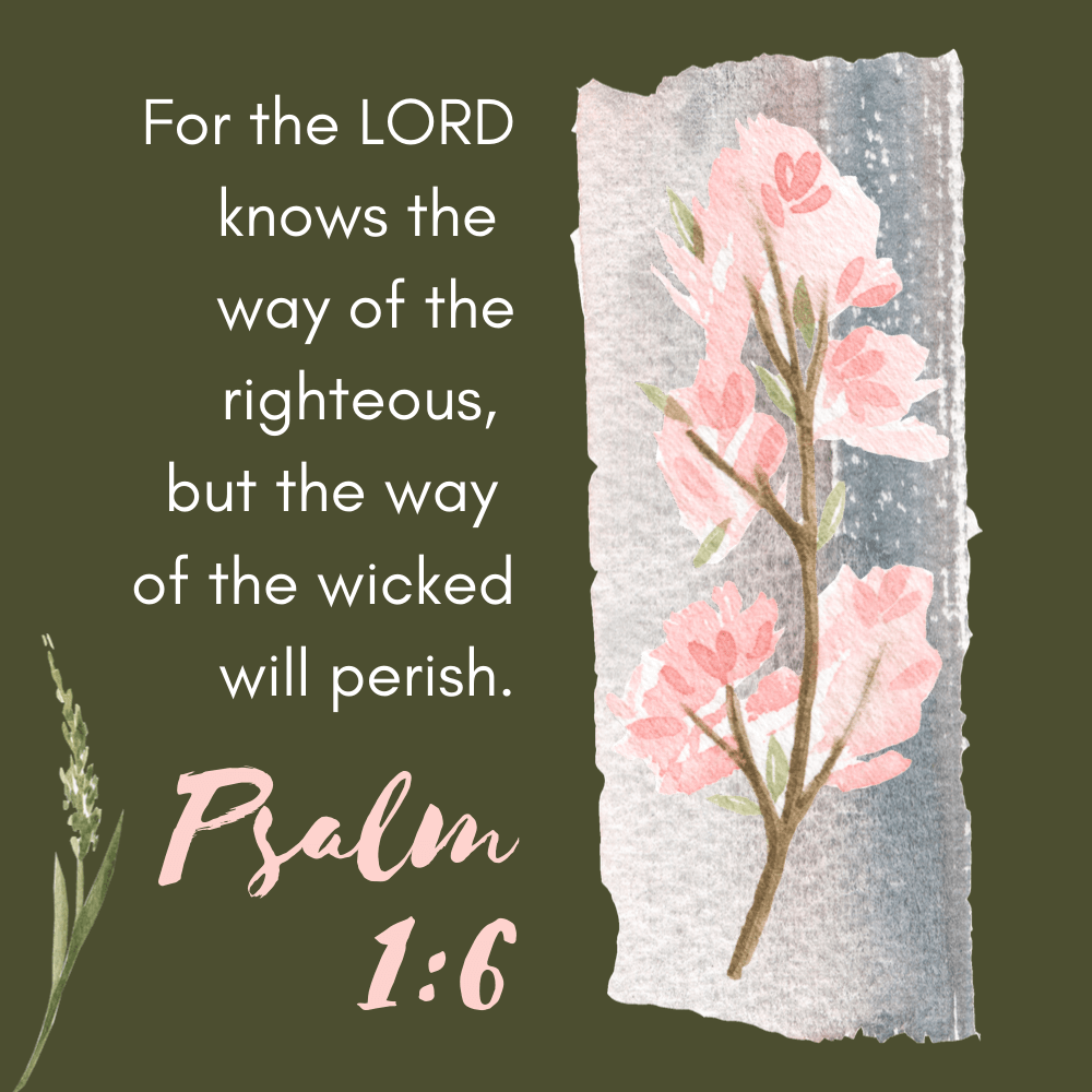 Psalms 1st Chapter ShauniKonnie the-a-team-taxes-done-bible-study-day