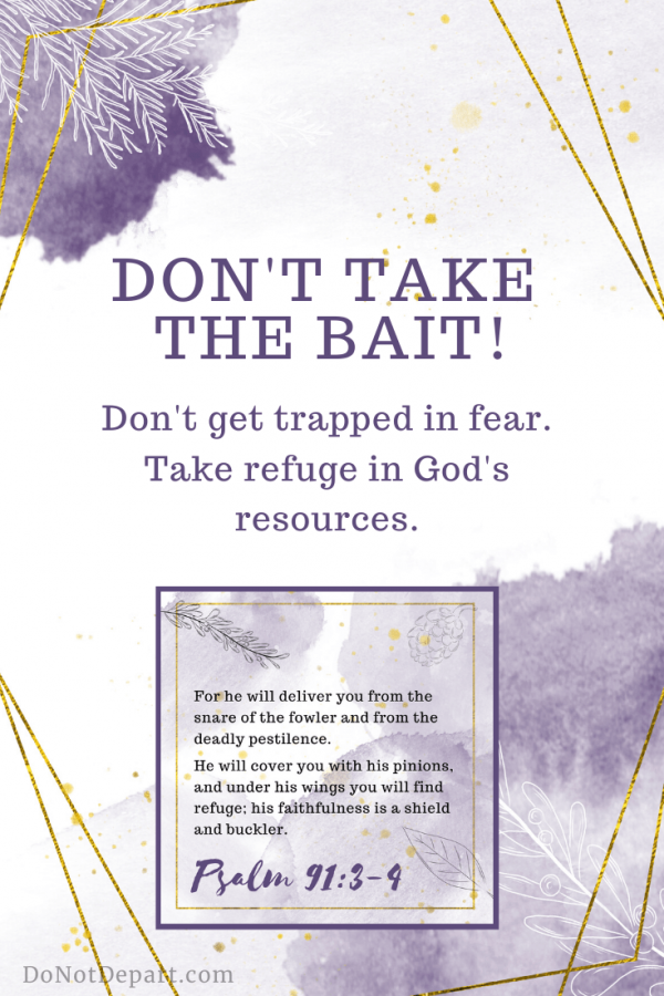 Don't Take The Fear Bait—Much To Lose, But More To Gain {Psalm 91:3-4} - Do  Not Depart