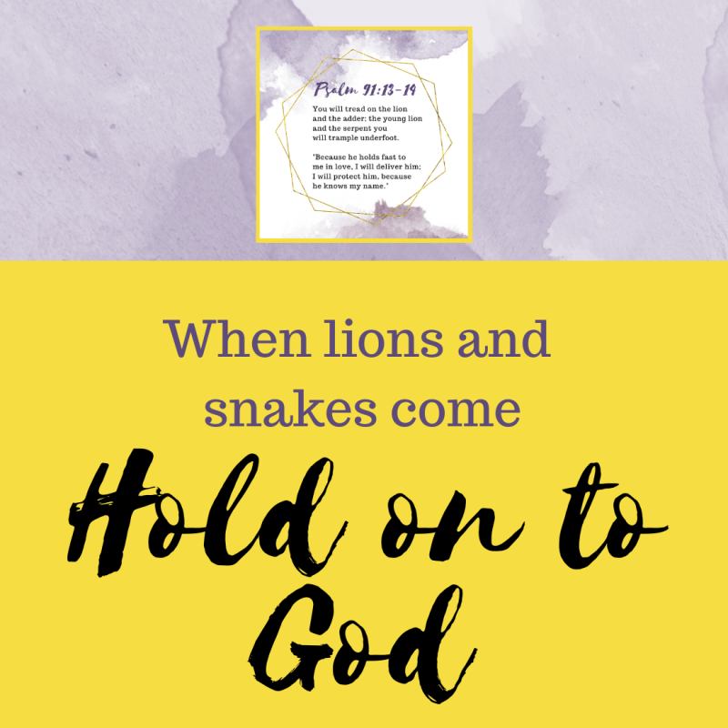 When Lions and Snakes Come, Hold on to God {Psalm 91:13-14}