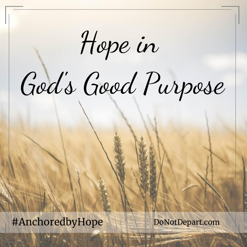 Hope in God’s Good Purpose