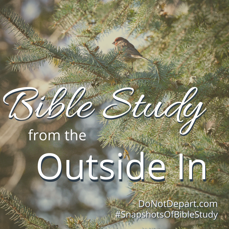 Bible Study From the Outside In