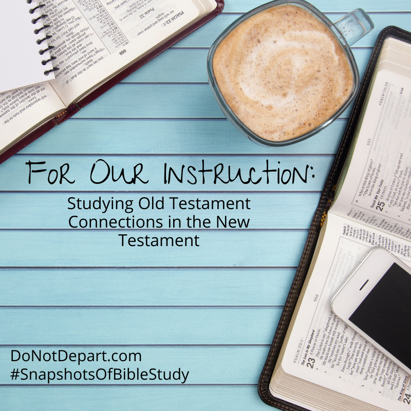 For Our Instruction: Studying Old Testament Connections in the New Testament