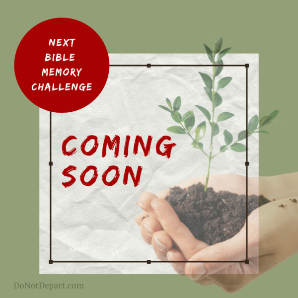 New bible memory challenge