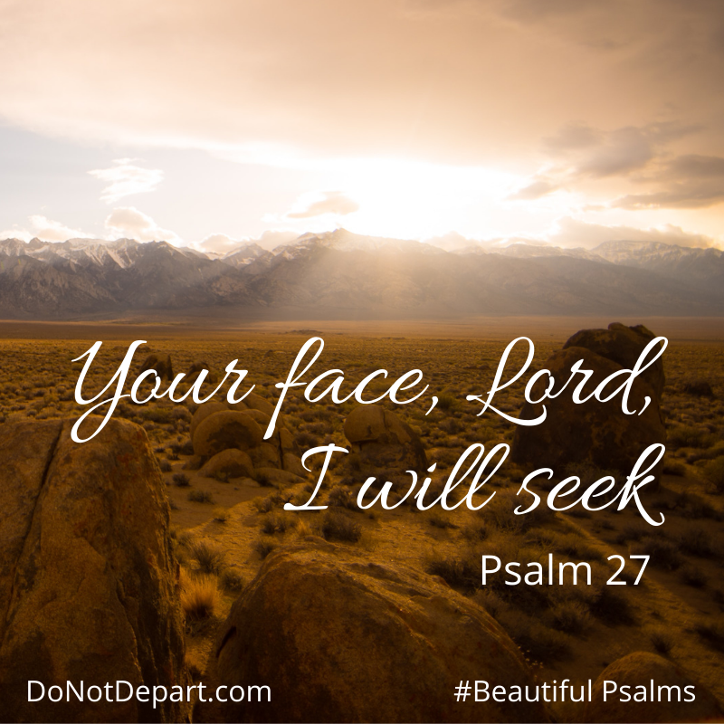 Psalm 27: Your face, Lord, I will seek