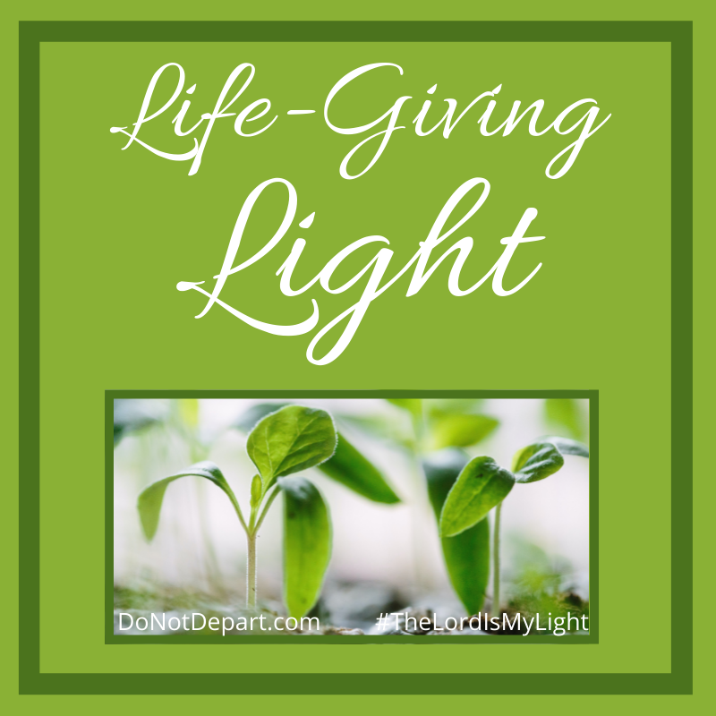 life giving light