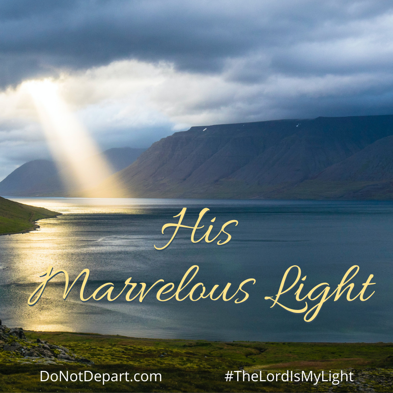 His Marvelous Light